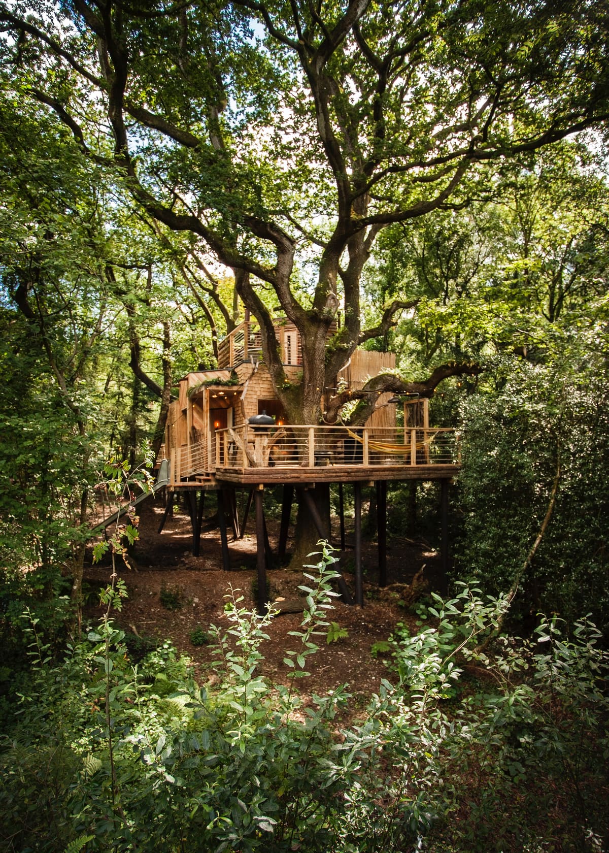 The Woodsman's Treehouse cradled in the branches of an ancient oak, its timber deck raised on poles above the woodland floor