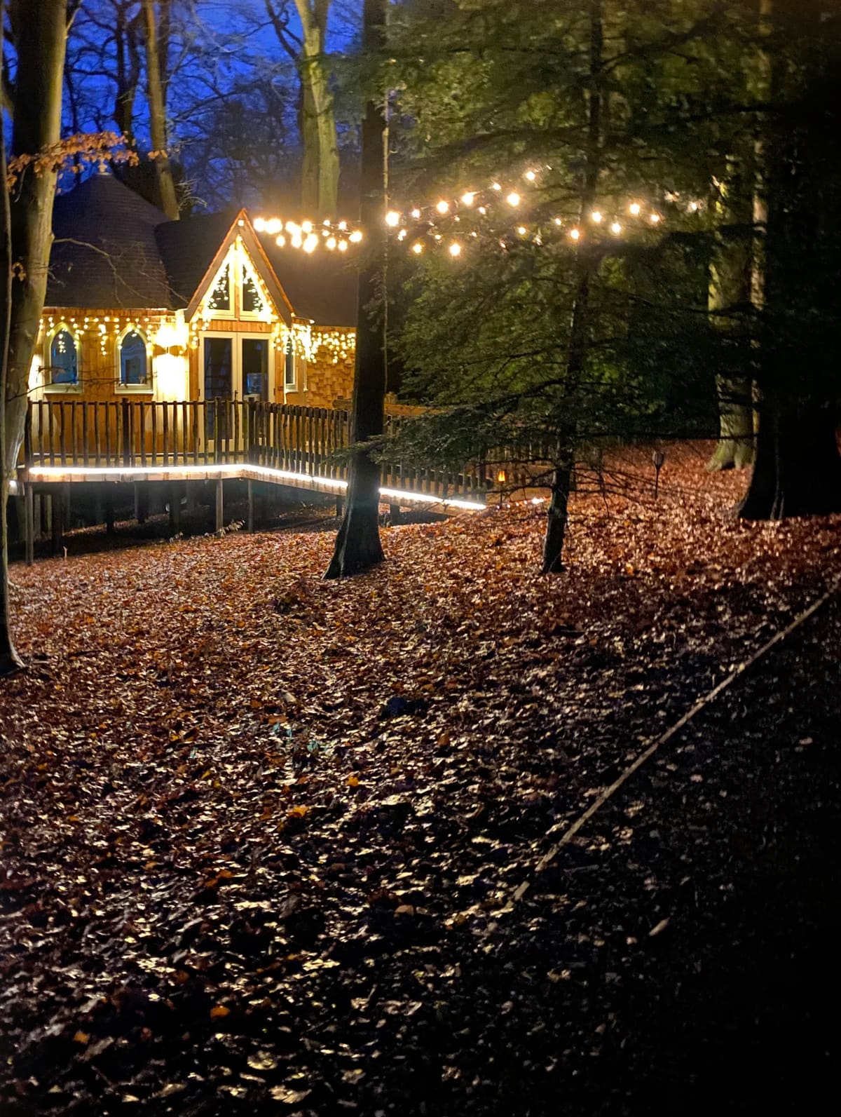 Beaver's Den glowing at blue hour, its gothic windows lit and festoon lights strung through the trees above the walkway